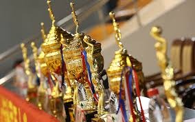 新豪门官宣豪华阵容引热议